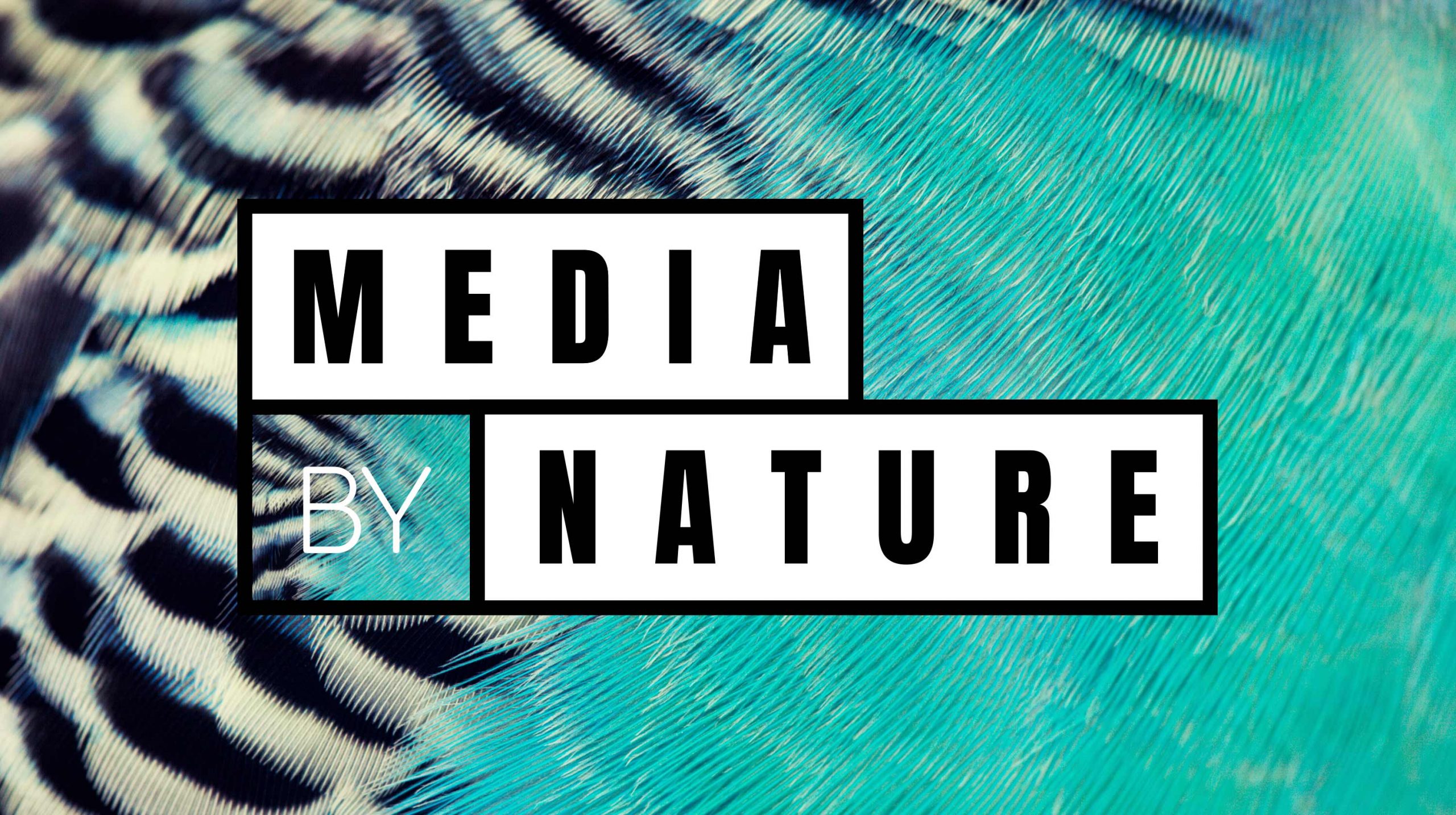 Media by Nature Logo Design auf Makro Hintergrund